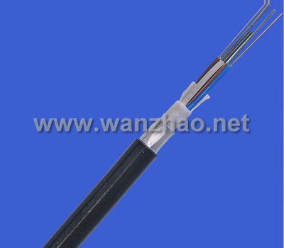 鋁帶層絞式室外光纜