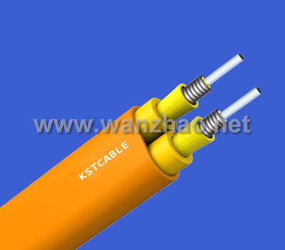 雙芯扁平鎧裝光纜